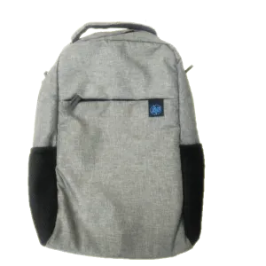 HP Essential Backpack (6UX11PA)